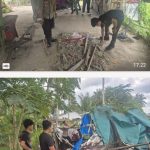 Respon Cepat, Polsek Teluk Nibung Robohkan Barak Narkoba Oplus_16908288