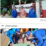 Oplus_16908288