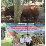 Wali Kota Serang Salurkan Sapi Kurban dan Sembako di Masjid Darutaqwa Walantaka IMG_20260527_132444