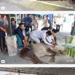 Penyerahan dan Pemotongan Hewan Qurban di Polres Tanjung Balai Oplus_16908288