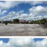 Oplus_16908288