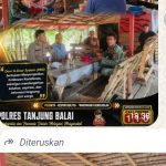 Oplus_16908288