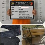 Oplus_16908288